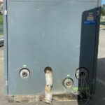 Boîtier électrique avec étiquette d'inspection et câblage